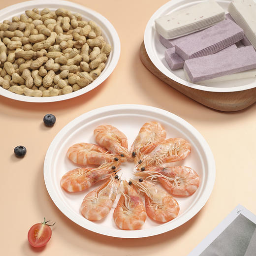 【批发】美丽雅甘蔗竹桨圆盘22.5厘米/10个入 商品图2