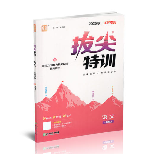 2025秋 拔尖特训 语文 人教版 部编版 六年级上 6上 同步提优训练专项练习一课一练 同步教辅 必刷题 通成学典天天练教辅 商品图1