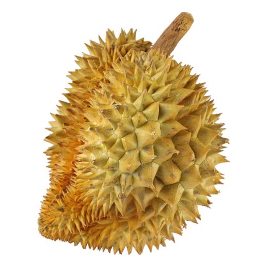 【十堰主城区包邮】新鲜水果 泰国金枕巴掌榴莲 软糯香甜 1个 商品图1