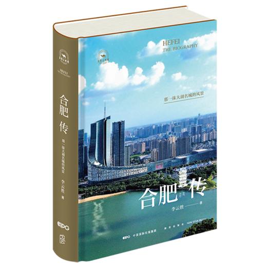 合肥传-那一抹大湖名城的风景 商品图0