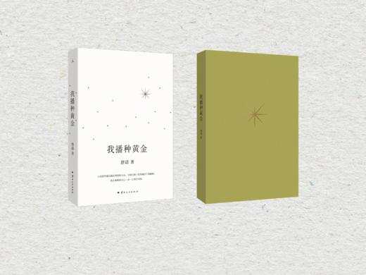 我播种黄金 唐诺 著（应对焦虑的黄金书单，应对焦虑的黄金书单） 商品图7