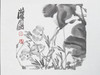 陈太一《牵牛花》国画原作33CM*33CM 手绘宣纸花鸟作品 商品缩略图4