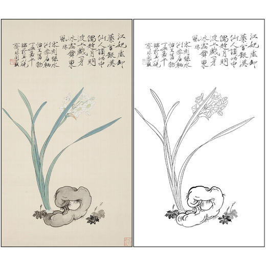 于非闇花鸟工笔画白描底稿《水仙拳石》临摹勾线高清打印稿FA10 商品图0