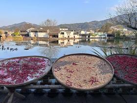 冬季/春节假期，10个目的地路线推荐