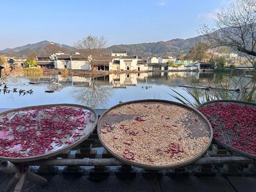 冬季/春节假期，10个目的地路线推荐 商品图0