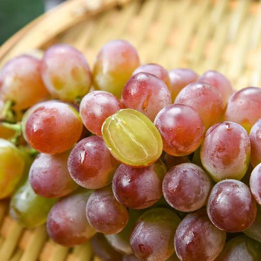 茉莉香葡萄 600g/份（新鲜） 商品图3