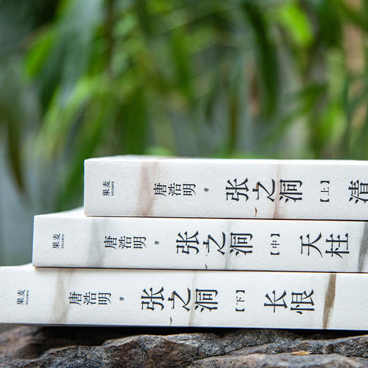 张之洞（马斯克崇拜的中国人！一本书了解张之洞为谋求中国的富强而探索、挣扎的一生） 商品图4