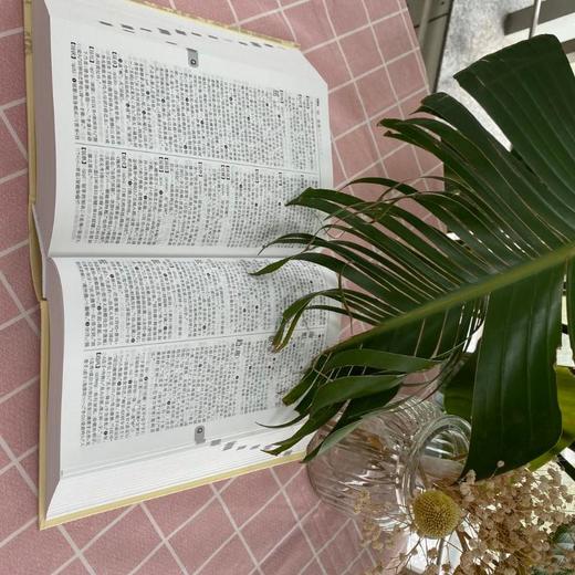 古代汉语词典 第2版 商品图4