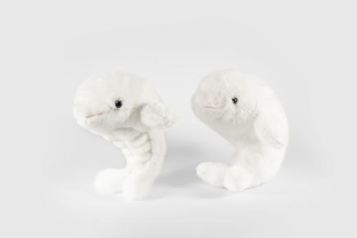 贝林自然世界毛绒玩具白鲸博物馆伴手礼 商品图0