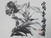 陈太一《百荷花》国画原作33CM*33CM 手绘宣纸花鸟作品 商品缩略图4