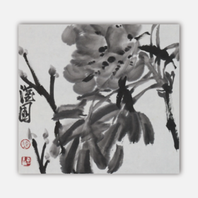 陈太一《牡丹花》国画原作33CM*33CM 手绘宣纸花鸟作品