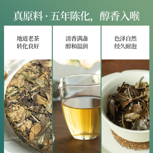 「北路白茶」老北路 福鼎白茶寿眉2020饼茶正宗四年陈老白茶叶200g 商品图3