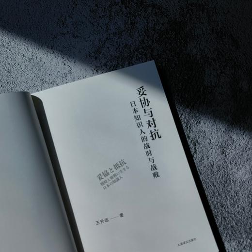 妥协与对抗:日本知识人的战时与战败 历史学堂 王升远 著 现代史 日本 二战 知识分子 葛兆光 许知远等推荐上海译文出版社 正版 商品图3