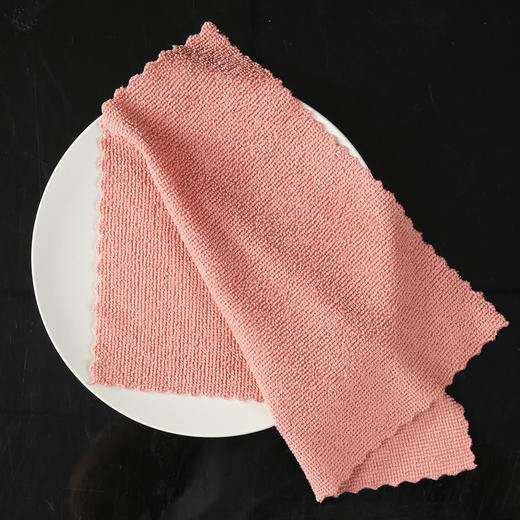 【批发】美丽雅10片入超纤抹布 商品图5