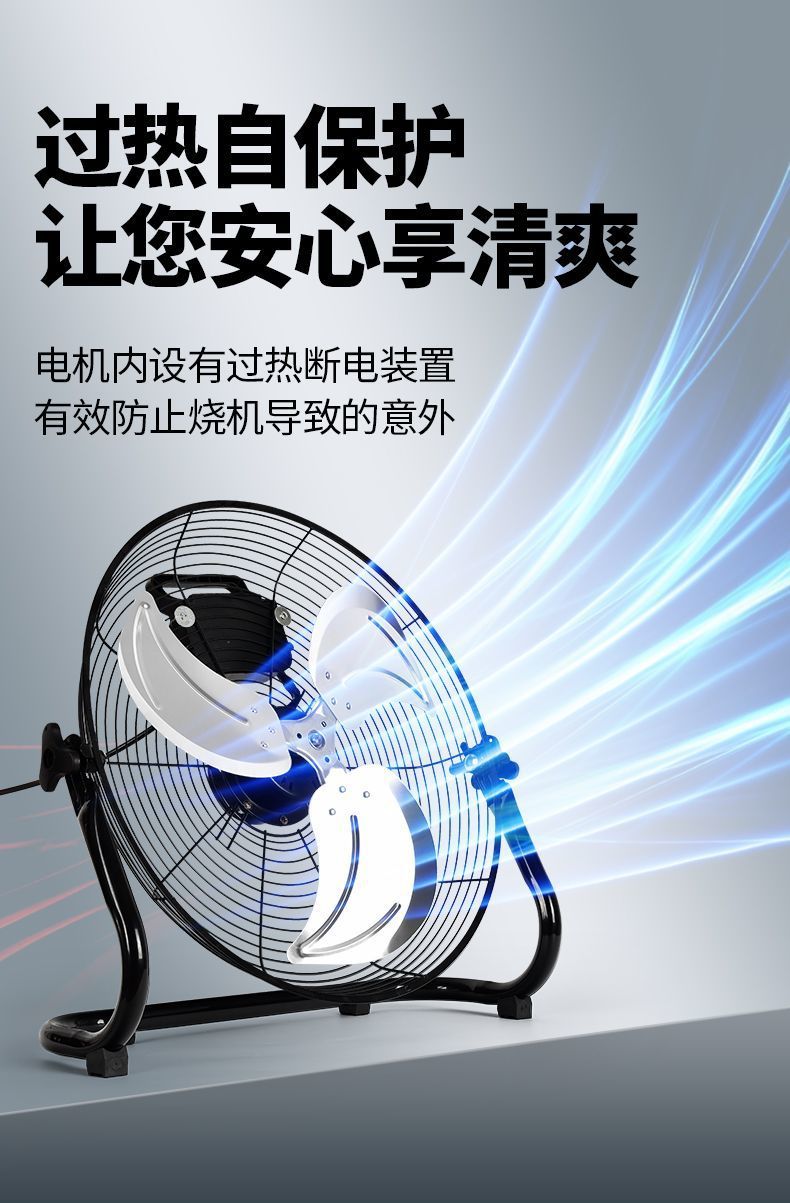 aac1e3ce-4c4e-4e37-be37-3a3e53bcd8ad.jpe