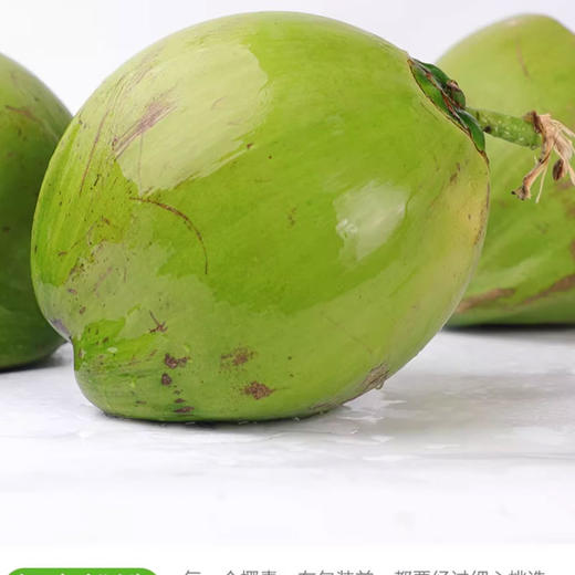  海南带皮椰青新鲜椰子汁多肉嫩 商品图4