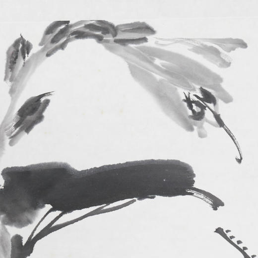 陈太一《剑兰》国画原作33CM*33CM 手绘宣纸花鸟作品 商品图4