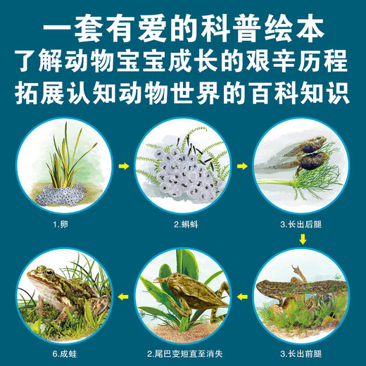 【3-8岁】让孩子感受生命成长的动物科普绘本（全8册） 商品图1
