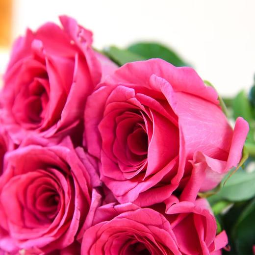 云南玫瑰花(颜色随机) 10支/束（鲜花/装饰） 商品图2