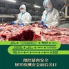 360天 山林散养草饲无抗黑猪肉 肉质紧实弹性有嚼劲 0抗生素0添加剂0药残0激素 0转基因0瘦肉精 商品缩略图6
