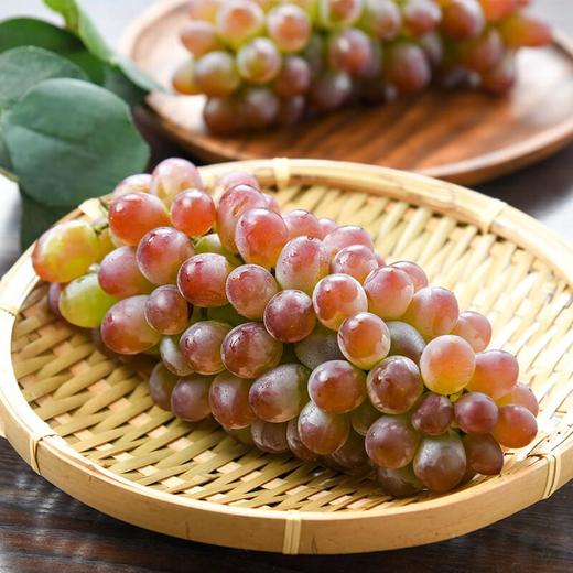 茉莉香葡萄 600g/份（新鲜） 商品图0