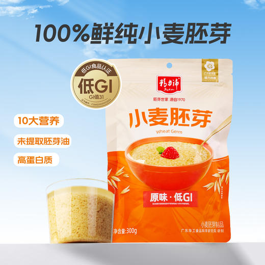 精力沛低GI小麦胚芽高纤原味高蛋白无添加蔗糖谷物麦片300g 商品图1