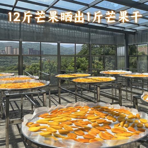 【同行精选】云南懒芒果干 只有芒果的芒果干 口感软糯果香浓郁 自然果甜不腻 健康优选小零食 商品图4