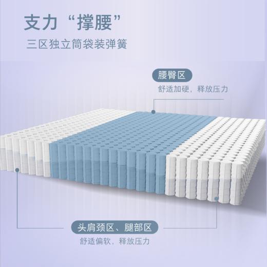 顾家家居整装 床垫 M9331-撑腰之星 商品图4