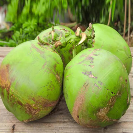  海南带皮椰青新鲜椰子汁多肉嫩 商品图3