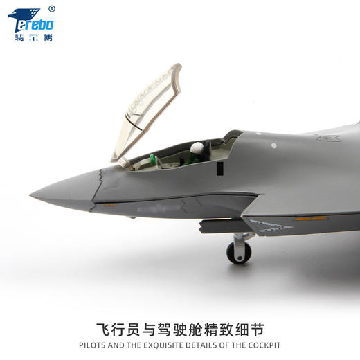 【中航工业官方正品-长春航展、九三阅兵纪念品】 特尔博1:100歼35A飞机模型合金仿真歼35战斗机航模J-35 商品图3