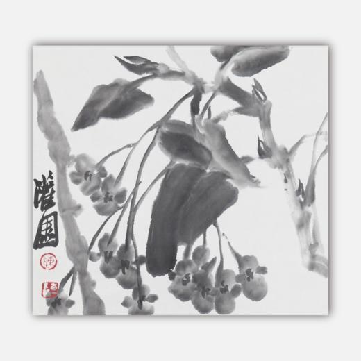 陈太一《凤仙花》国画原作33CM*33CM 手绘宣纸花鸟作品 商品图0