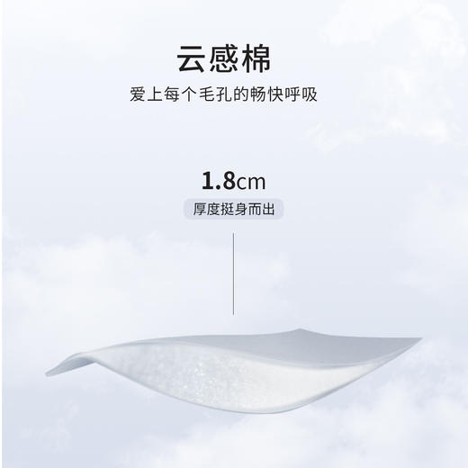 熳洁儿 小胸显大聚拢内衣云感棉不空杯收副乳防下垂蕾丝21761513 商品图2