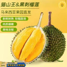 【鲜果直发】正宗马来西亚黑刺/猫山王榴莲，原产地直发顺丰包邮，黄油般的丝滑，持久回甘，甜而不腻