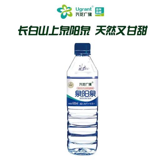 【3人成团】兴龙广缘泉阳泉600ml*12天然矿泉水245667 商品图0