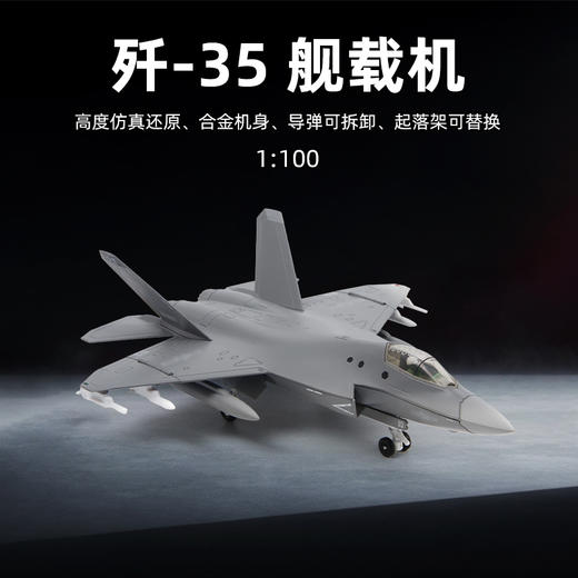 【中航工业官方正品-长春航展、九三阅兵纪念品】 特尔博1:100歼35A飞机模型合金仿真歼35战斗机航模J-35 商品图7