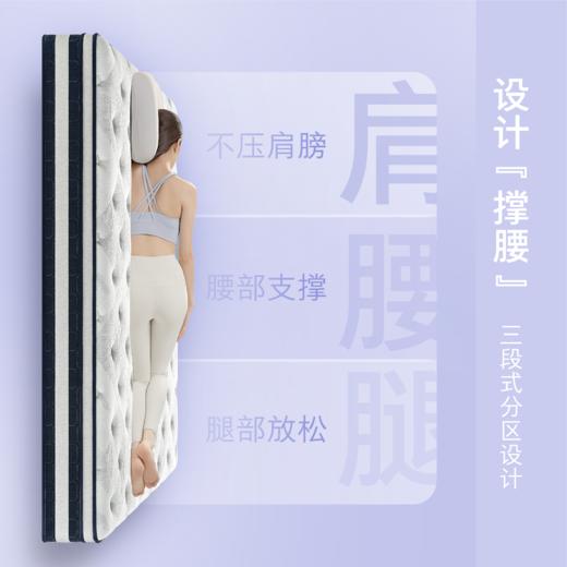 顾家家居整装 床垫 M9331-撑腰之星 商品图2