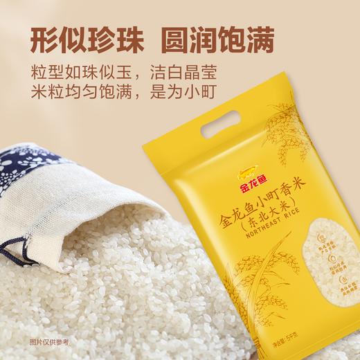 MM 山姆 金龙鱼 小町香米 5kg*2 商品图3