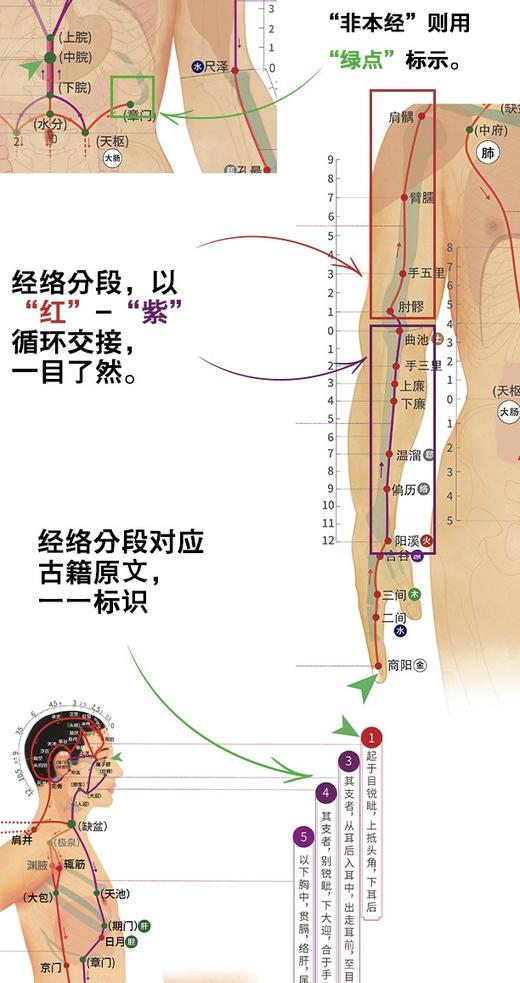 《黄帝内经》十二经脉24节气挂图 传承经典国粹，顺时经络养生。每年都不用换的经络养生·节气挂历。邓特伟医师原创编绘，匠心制作。献礼“邓特伟五行经络”连续直播1700天 商品图4