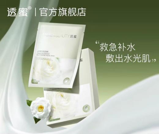 【活动价￥19.91/盒 ￥29.9/2盒】透蜜 山茶精华保湿面膜10片/盒 补水提亮舒缓养肤修护紧致 商品图0