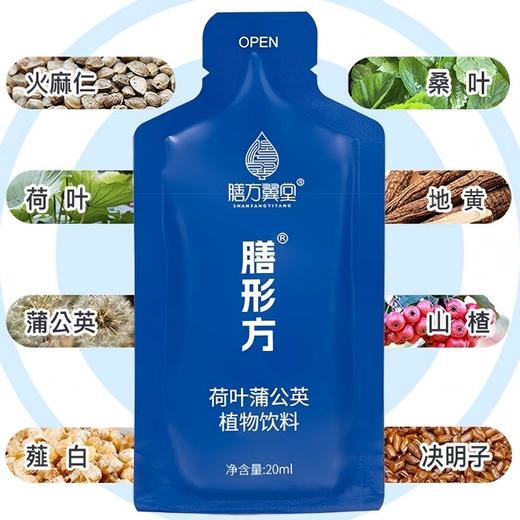 【膳方翼堂】膳形方荷叶蒲公英植物饮料140ml（20ml*7袋） 商品图2