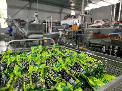 【玉米界的“黑珍珠” 】2025年新茬山西忻州黑糯玉米 约220g/根 软糯香甜 独立包装 黑玉米农产品 常温避光保存 冷藏（0℃-4℃）更佳 商品图6