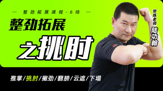 整劲拓展之——挑肘 商品图0