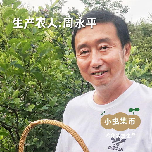 有机苹果蓝莓复合纯果汁 250ml*6瓶 | 合作农友生产，产自南京，生产者：周永平 *【公平贸易农人定价】 商品图3