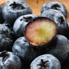 秘鲁蓝莓 125g18mm（鲜果） 商品缩略图3
