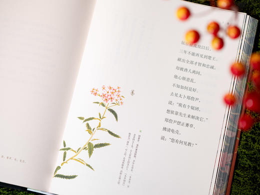 【中国浪漫主义文学源头】《楚辞译注》（彩图珍藏本）享誉40年的经典译注本，豆瓣9.6分口碑之作，全本全注全译|250幅彩图|三面刷边|布面烫金|赠藏书票 商品图9