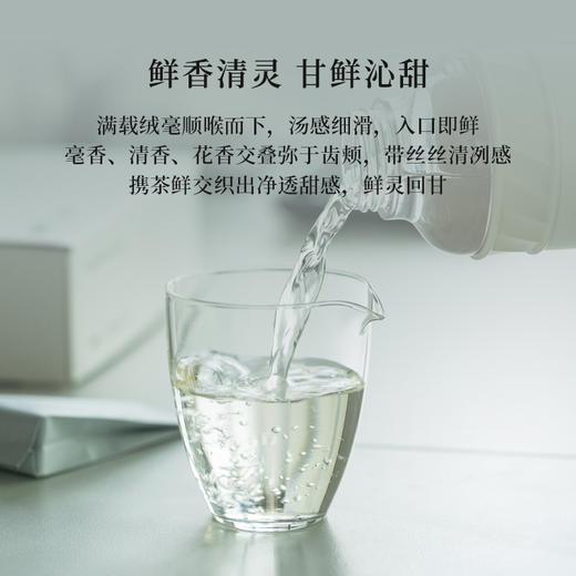 「北路白茶」24白毫银针   福鼎白茶冷泡白毫银针2024年高山茶叶60g 商品图2