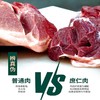 360天 山林散养草饲无抗黑猪肉 肉质紧实弹性有嚼劲 0抗生素0添加剂0药残0激素 0转基因0瘦肉精 商品缩略图1
