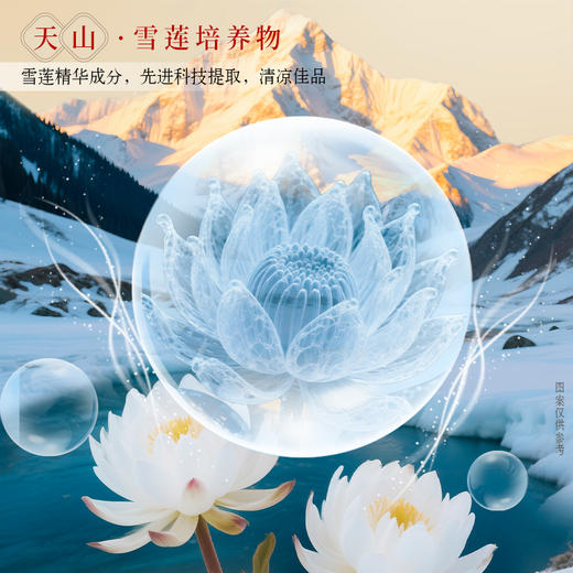 健力宝雪莲菊花茶植物饮料500ml*15瓶装 0糖0脂0卡清润去火茶 商品图2