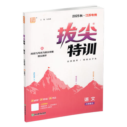 2025秋 拔尖特训 语文 人教版 部编版 六年级上 6上 同步提优训练专项练习一课一练 同步教辅 必刷题 通成学典天天练教辅 商品图3