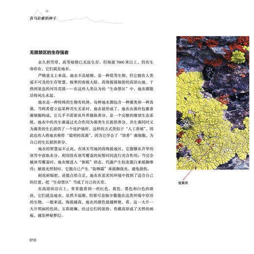 《喜马拉雅的种子》 商品图6